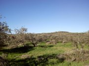 Kalyves Grundstück mit toller Aussicht in Apokoronas zum Verkauf Grundstück kaufen